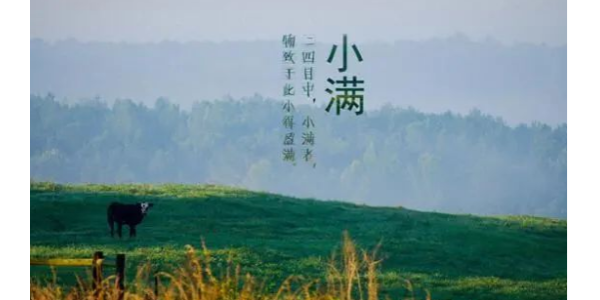 今日小滿丨耀先愿你的生活，幸福美滿！